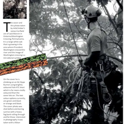 Jack Morvin, ISA Certified Arborist, climbing a large tree