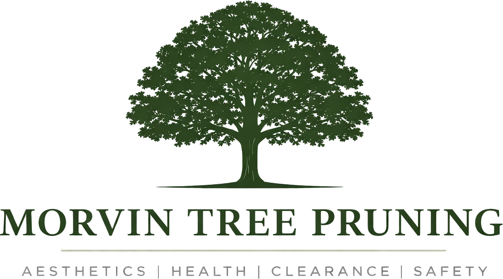 Morvin Tree Pruning