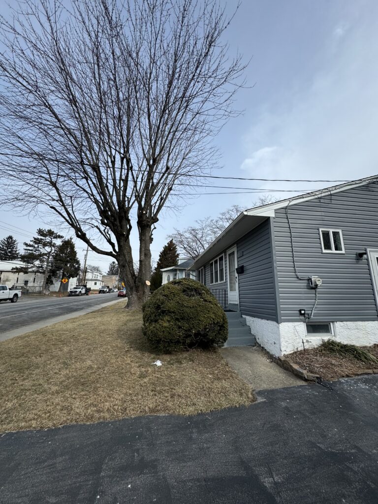 Full tree removal in residential setting